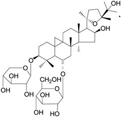 Protective Effect and Possible Mechanisms of Astragaloside IV in Animal Models of Diabetic Nephropathy: A Preclinical Systematic Review and Meta-Analysis